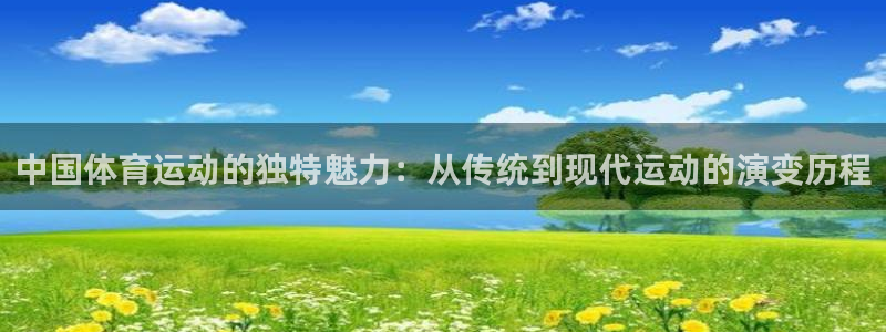 xc30：中国体育运动的独特魅力：从传统到现代运动的演变历程
