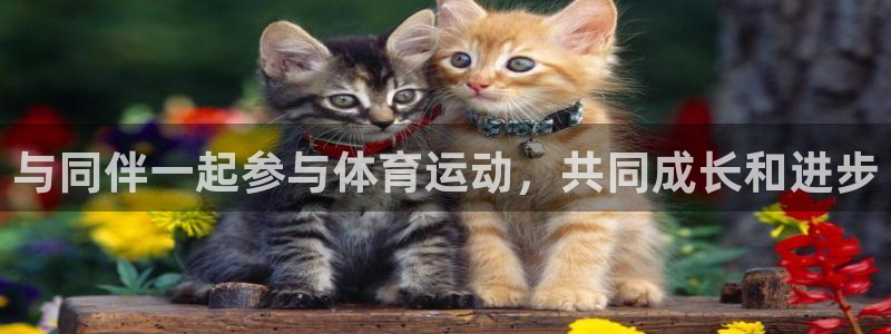 杏彩xc体育eon：与同伴一起参与体育运动，共同成长和进步
