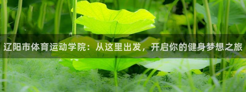 杏彩xc体育平台开号链接：辽阳市体育运动学院：从这里出发，开启你的健身梦想之旅
