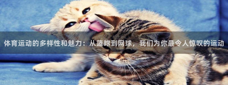 xc是什么药片：体育运动的多样性和魅力：从篮球到网球，我们为你最令人惊叹的运动