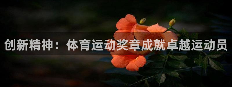 杏彩官网：创新精神：体育运动奖章成就卓越运动员