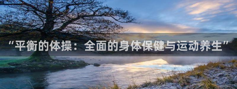 沃尔沃 xc 90：“平衡的体操：全面的身体保健与运动养生”