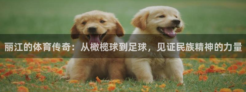 女人的xc是什么意思：丽江的体育传奇：从橄榄球到足球，见证民族精神的力量
