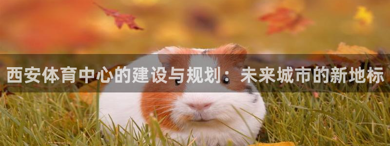 xc是女性哪里的简称：西安体育中心的建设与规划：未来城市的新地标