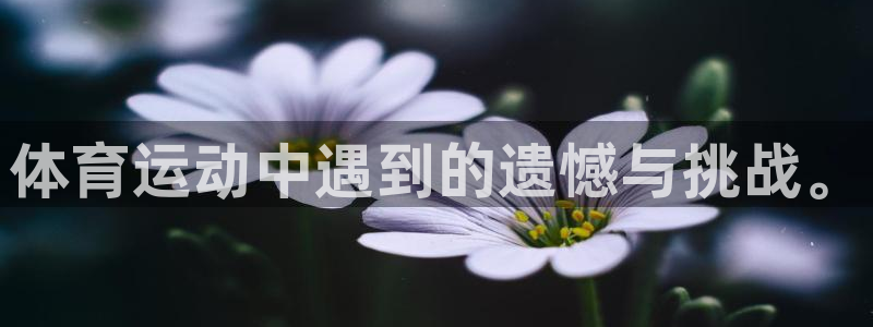 杏彩xc3官网