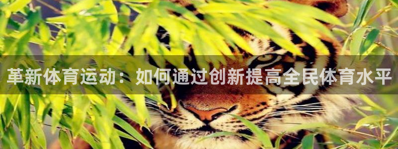 xl和xc分别表示什么：革新体育运动：如何通过创新提高全民体育水平