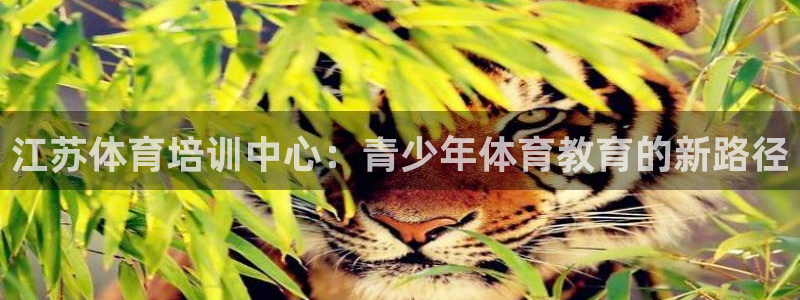 杏彩xcvk