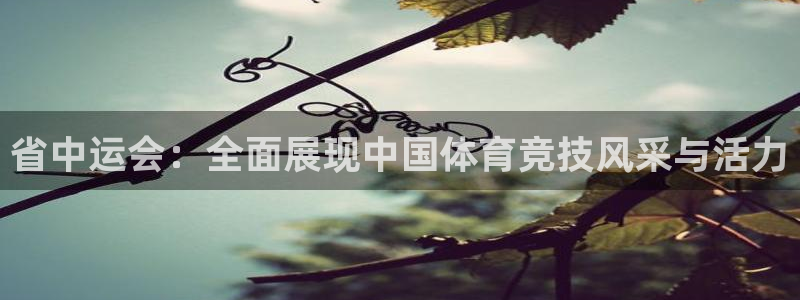 10款沃尔沃xc90详解