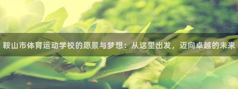 xc是什么快递：鞍山市体育运动学校的愿景与梦想：从这里出发，迈向卓越的未来