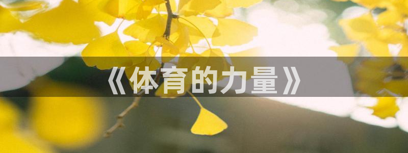 钢结构中xc是什么意思：《体育的力量》
