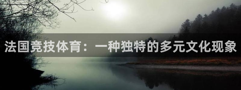 xc4：法国竞技体育：一种独特的多元文化现象