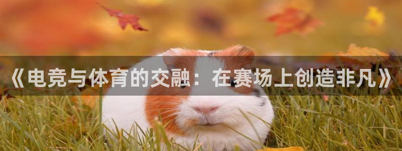 www.xc：《电竞与体育的交融：在赛场上创造非凡》